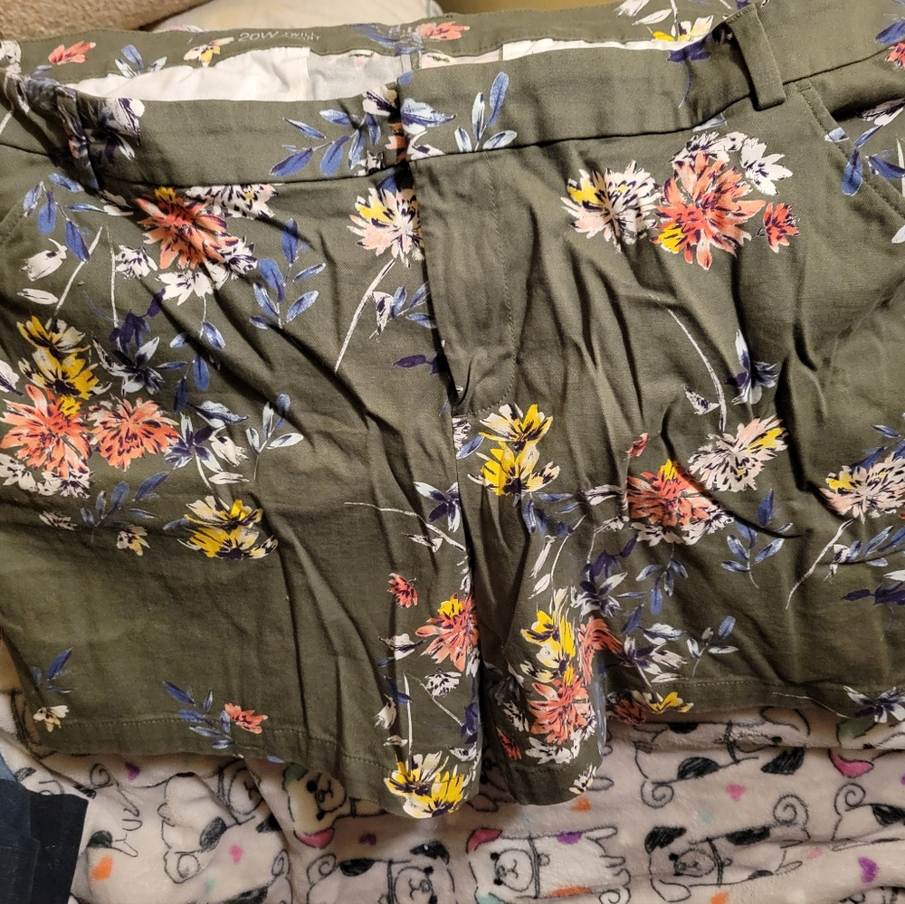 ANA Floral Twill Shorts Size 20W